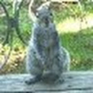 Meet your Posher, Aleta